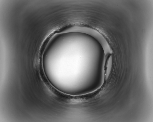 X0000086780630200704271810