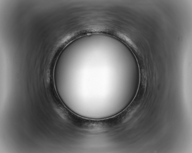 X0000086780631200704271810