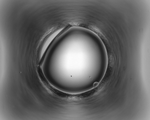 X0000086780634200704271811