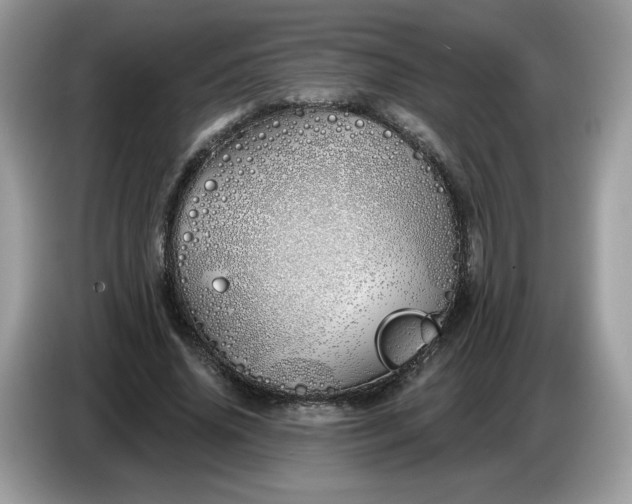 X0000086780636200704271811