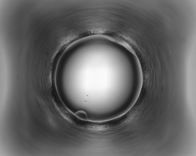 X0000086780638200704271811