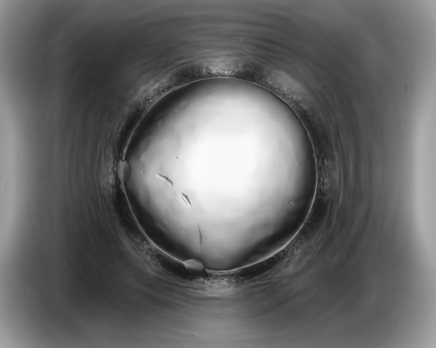 X0000086780639200704271811