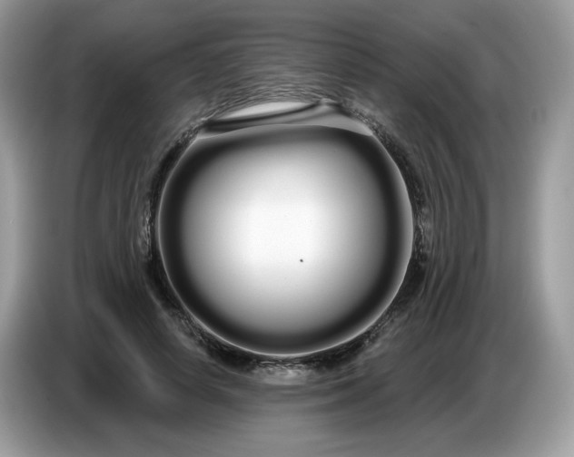 X0000086780642200704271811