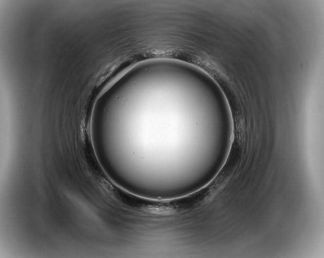 X0000086780644200704271811