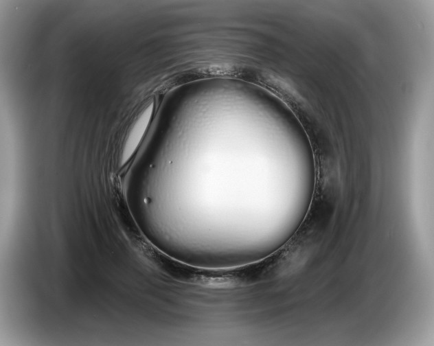 X0000086780645200704271811