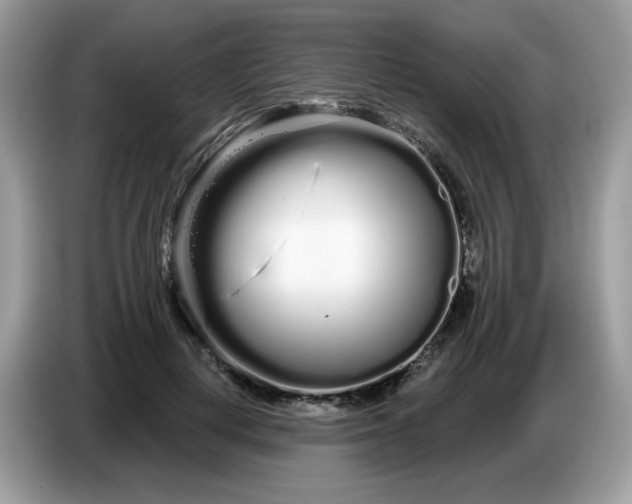 X0000086780648200704271811