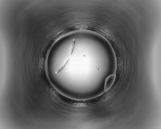 X0000086780649200704271811