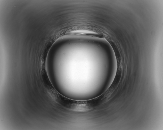 X0000086780651200704271811