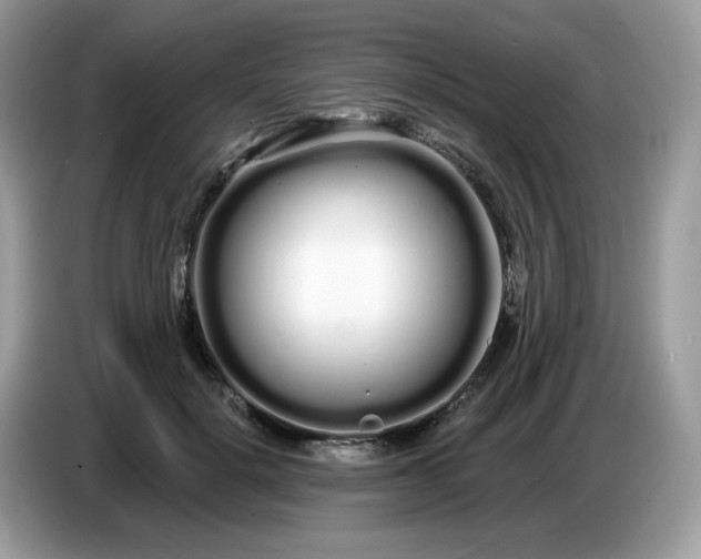 X0000086780652200704271811