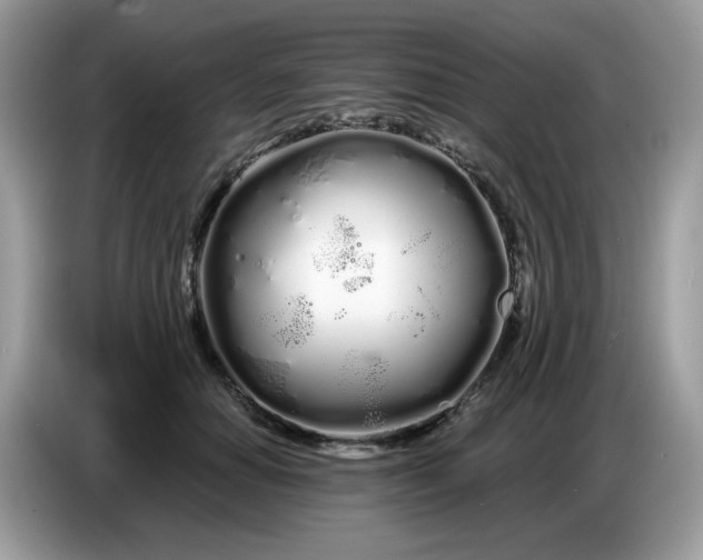 X0000086780654200704271811