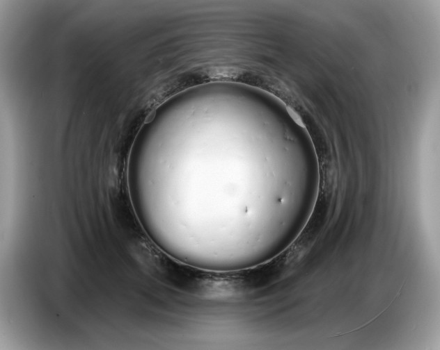 X0000086780655200704271811