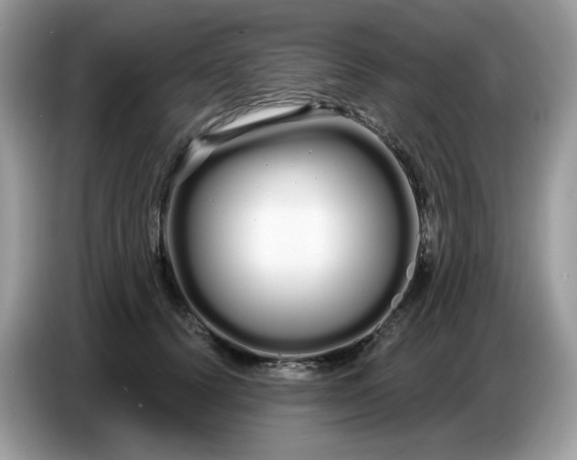 X0000086780656200704271811