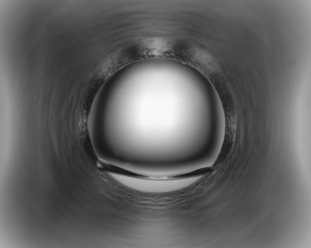 X0000086780657200704271811