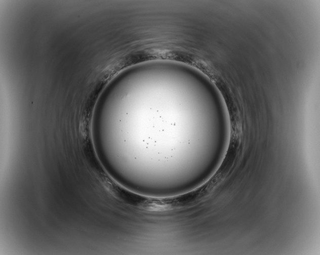 X0000086780658200704271811