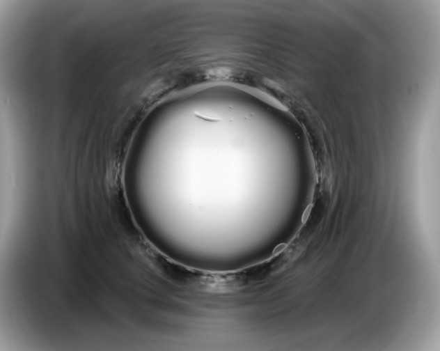 X0000086780660200704271811