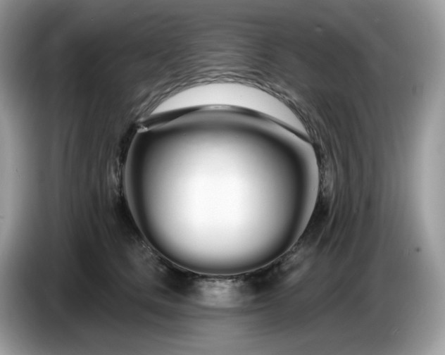 X0000086780661200704271811