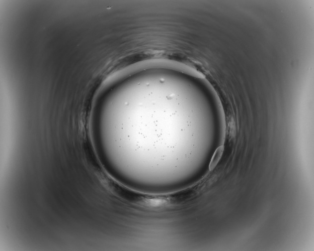 X0000086780662200704271811