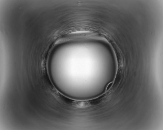 X0000086780663200704271811