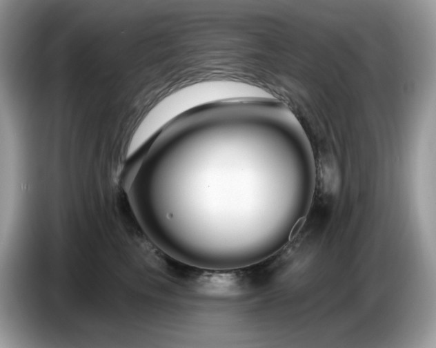 X0000086780665200704271811