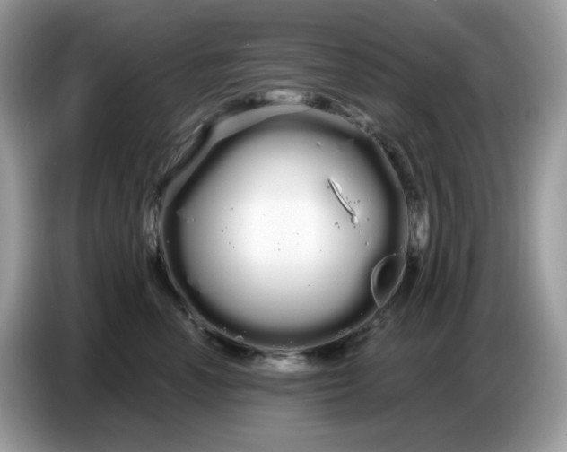 X0000086780666200704271811