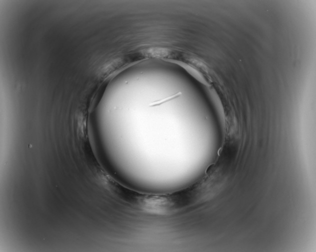 X0000086780669200704271811