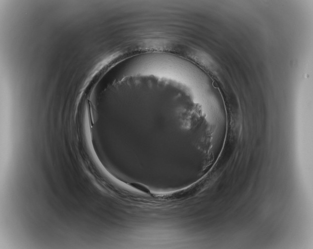 X0000086780674200704271810