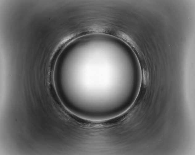 X0000086780675200704271810