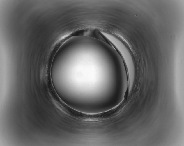 X0000086780677200704271810