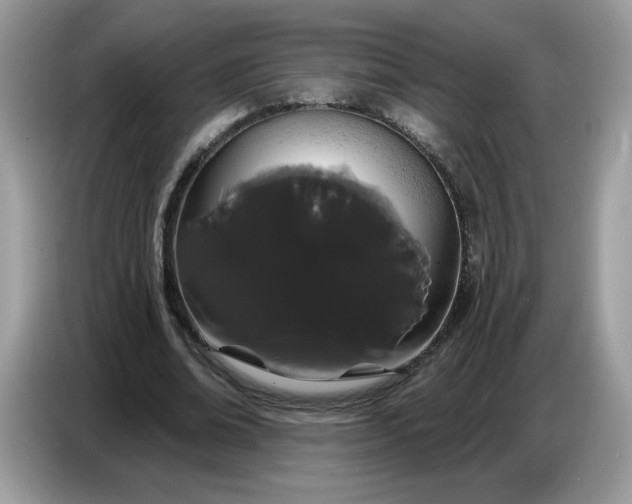 X0000086780678200704271810