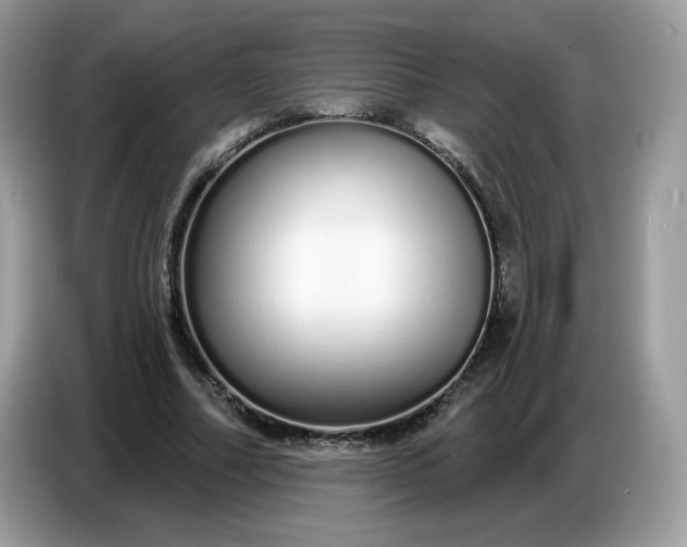 X0000086780682200704271810