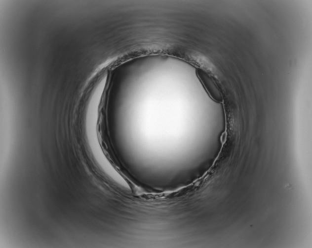 X0000086780684200704271810