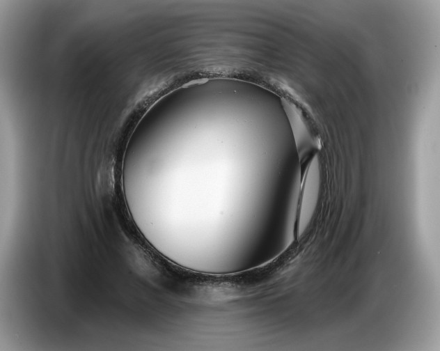 X0000086780685200704271810