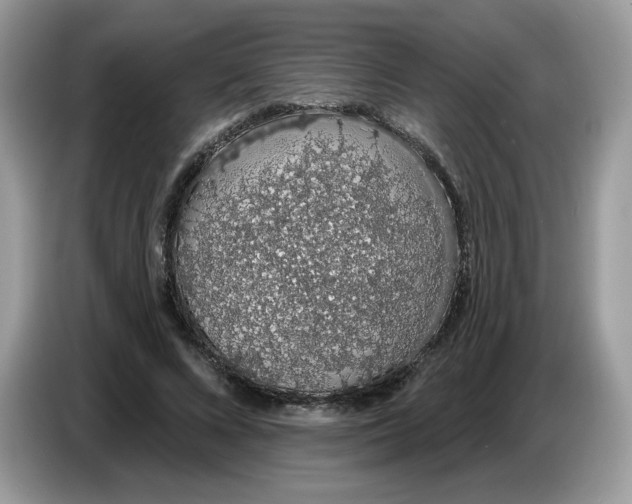 X0000086780688200704271810