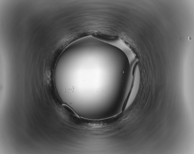 X0000086780693200704271810