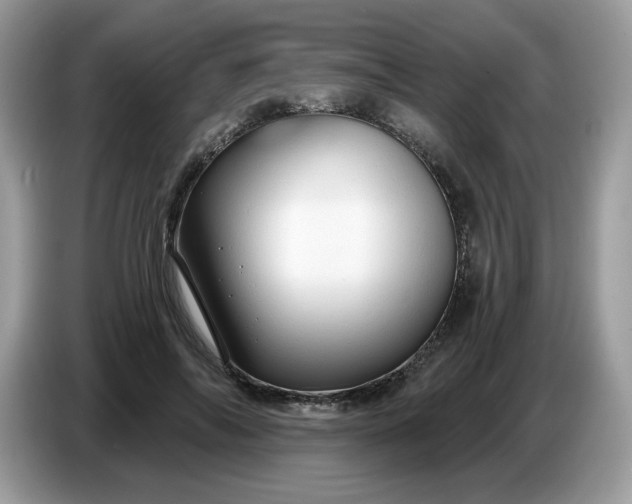 X0000086780694200704271810