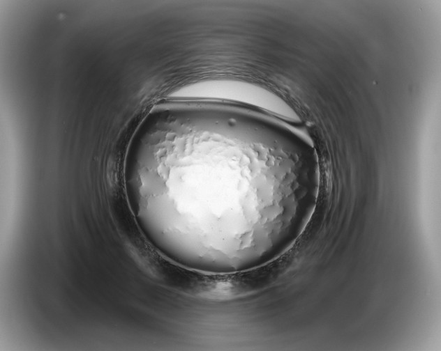 X0000086780695200704271810