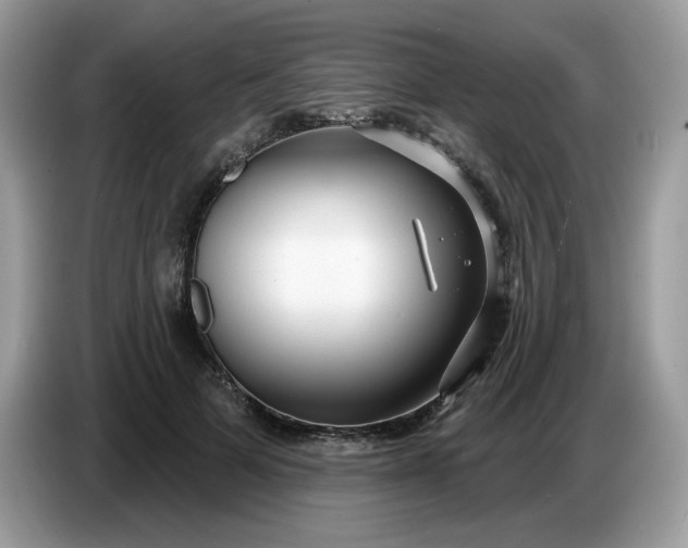 X0000086780697200704271810