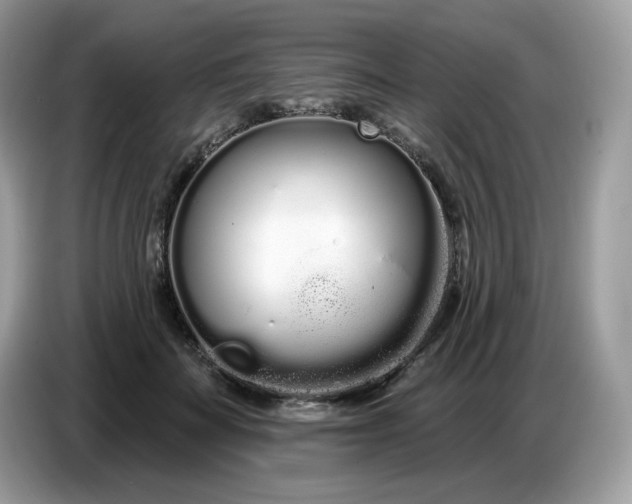 X0000086780699200704271810