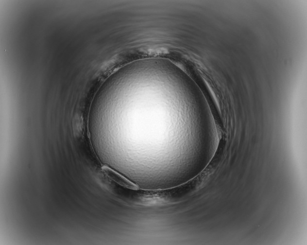 X0000086780704200704271810