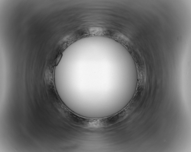 X0000086780705200704271810