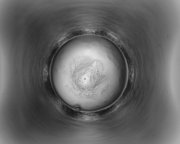 X0000086780707200704271810