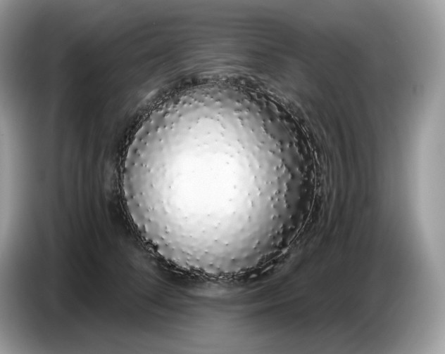 X0000086780708200704271810