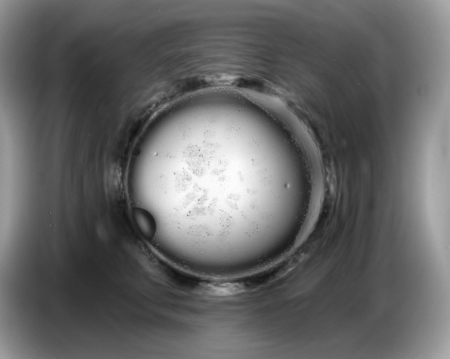 X0000086780711200704271810