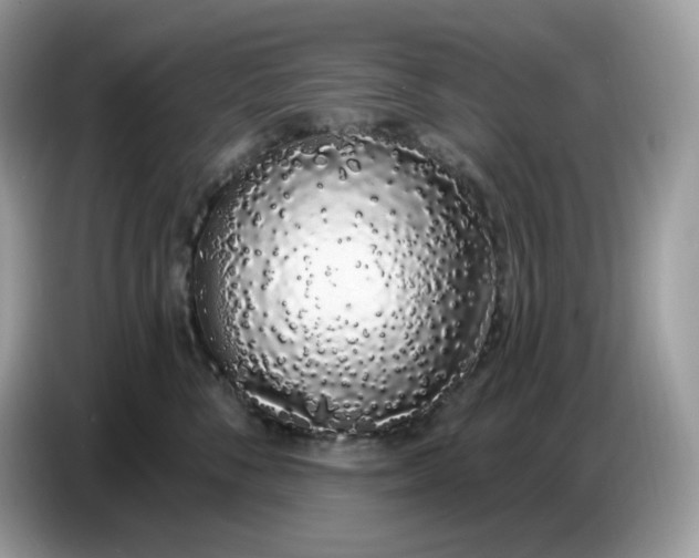 X0000086780716200704271810