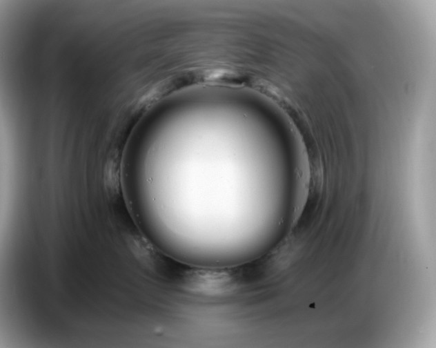 X0000086780719200704271810