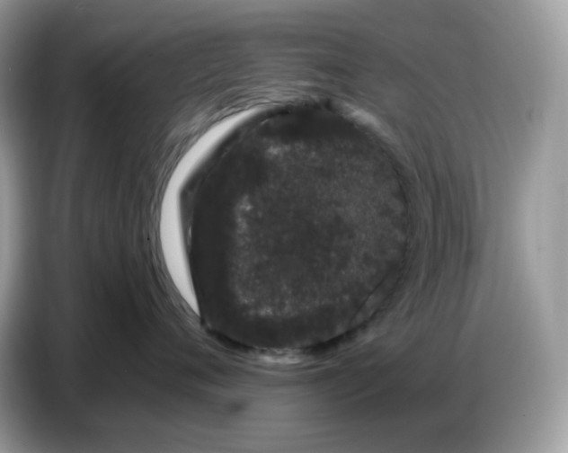 X0000086780720200704271810