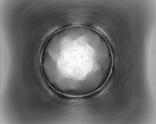 X0000086780721200704271809