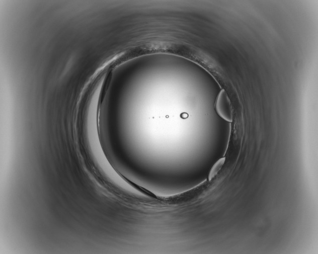 X0000086780722200704271809