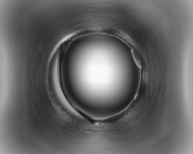 X0000086780724200704271809