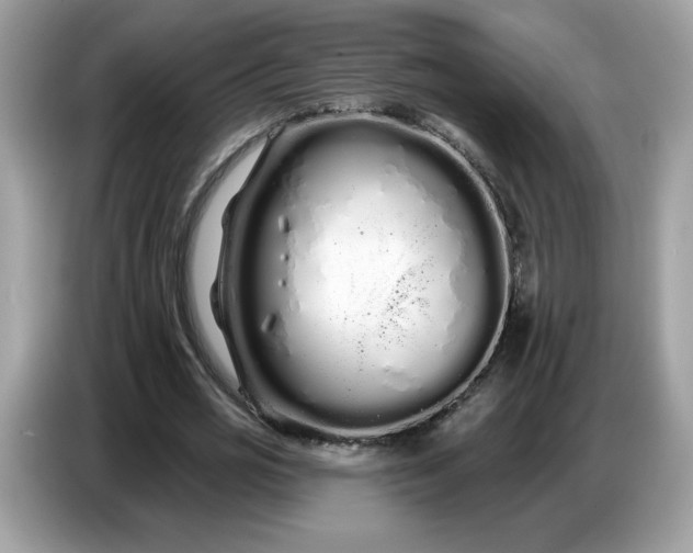 X0000086780725200704271809